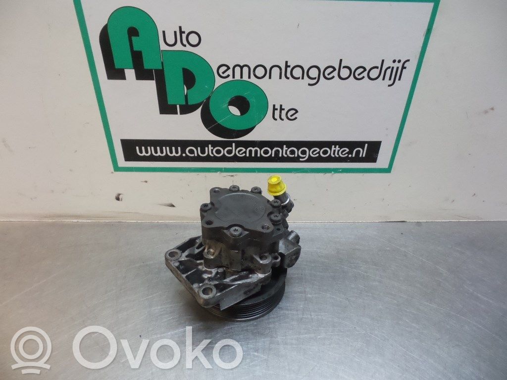 Servopumpe   96204,96204,32421406769,32421406769,96204