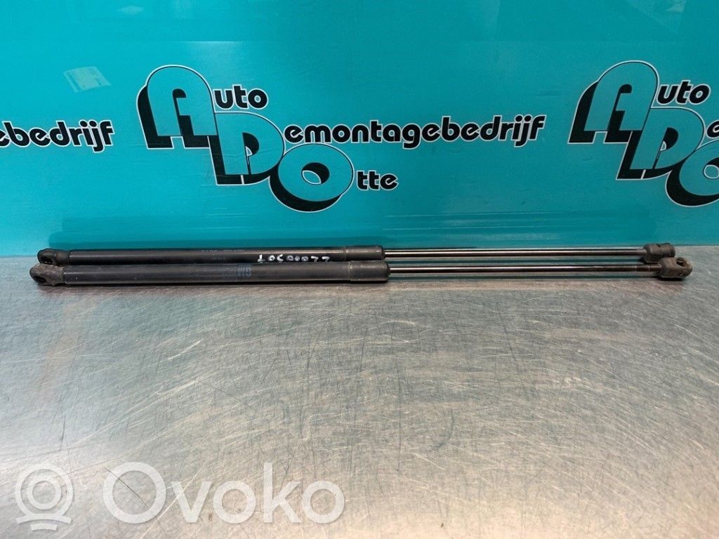 Tailgate/trunk strut/damper   13182309,6553VE,0245N,13182309,6553VE