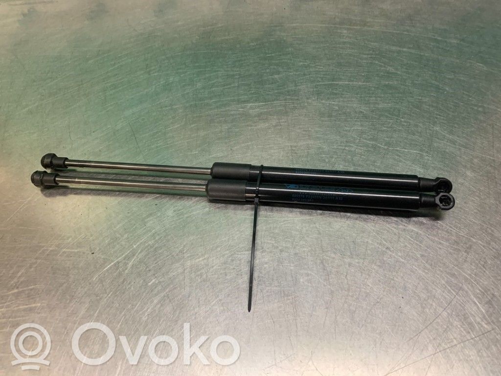 Renault Twingo II Ammortizzatore portellone posteriore/bagagliaio 