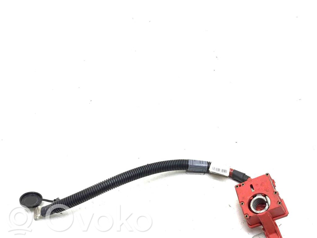 BMW X5M E70 Pliusinis laidas (akumuliatoriaus) 