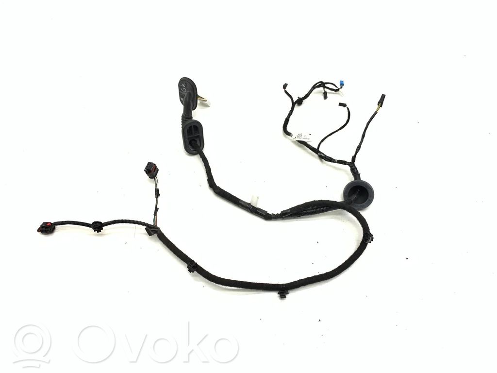 Cableado de puerta trasera   206796500B