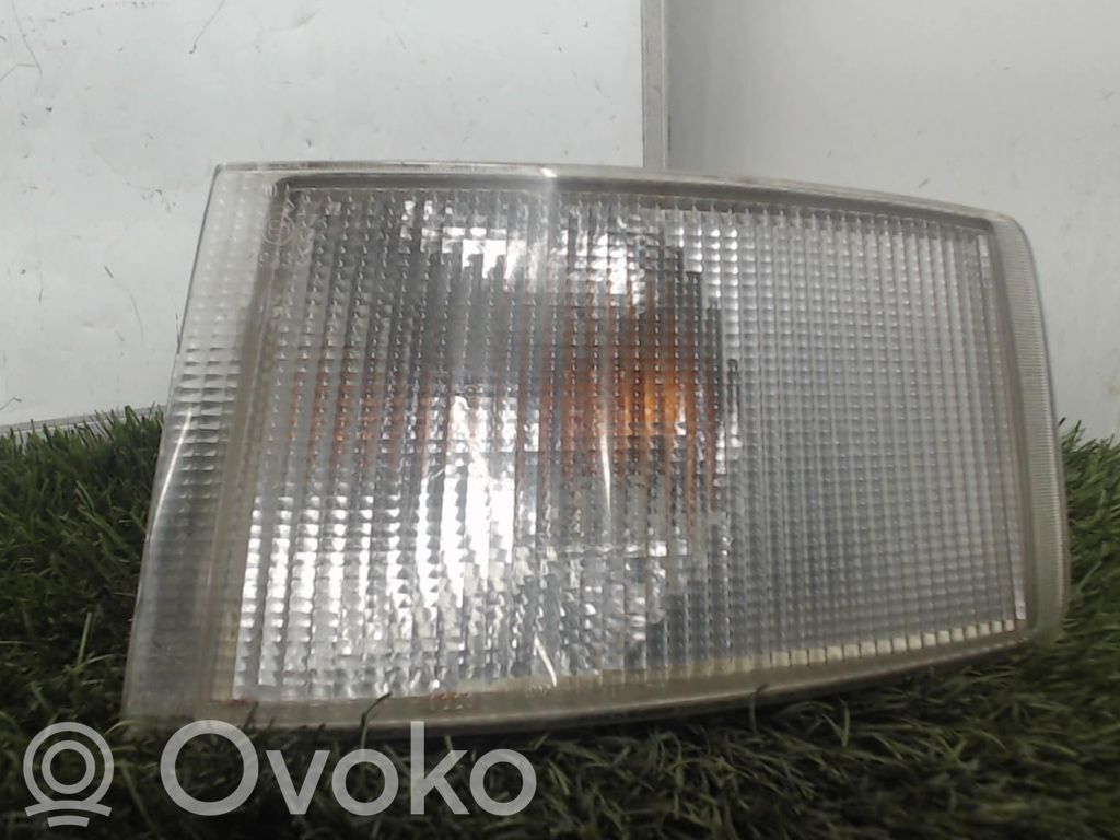 Fiat Ducato Seitenblinker 