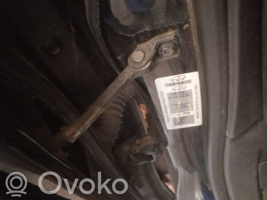 Citroen DS5 Front door check strap stopper 