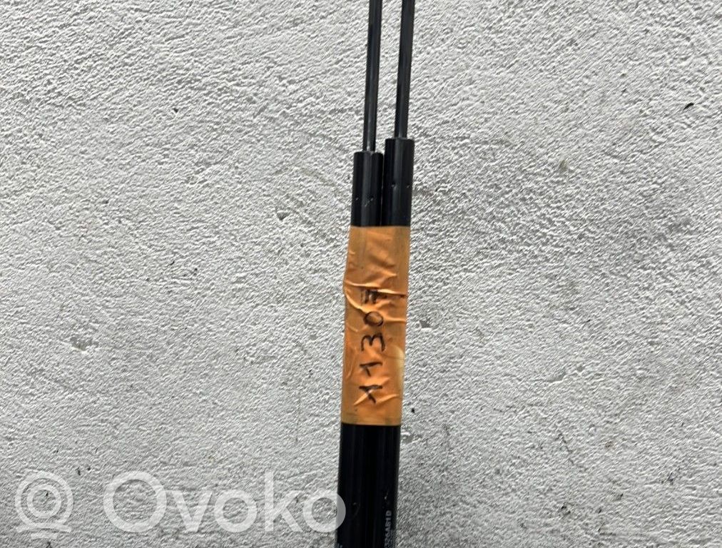 Citroen Xsara Tailgate/trunk strut/damper 