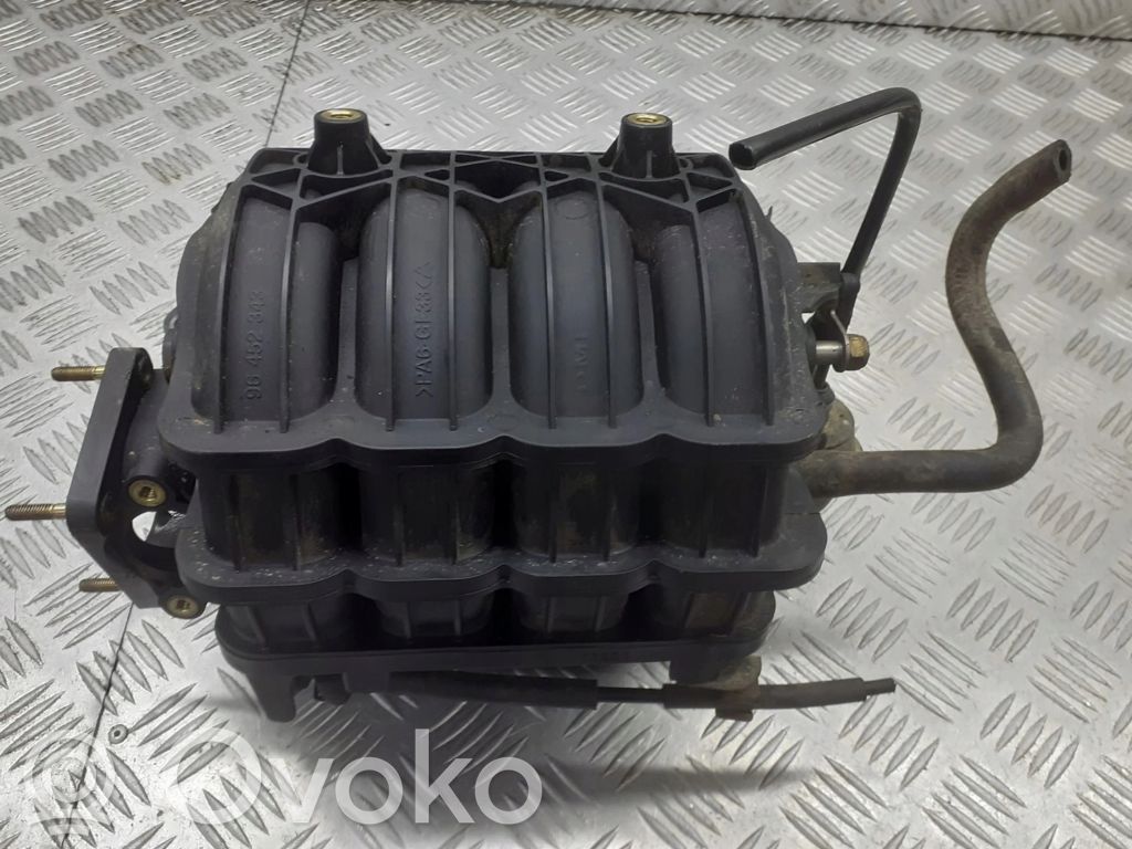 Imusarja   96452343