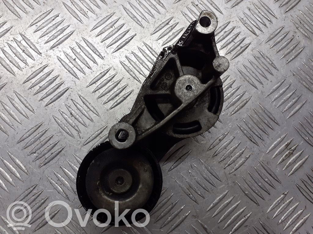 Volkswagen PASSAT B6 Puleggia del tendicinghia dell’alternatore 