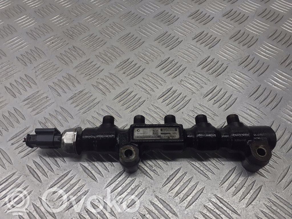 Peugeot 407 Listwa wtryskowa 