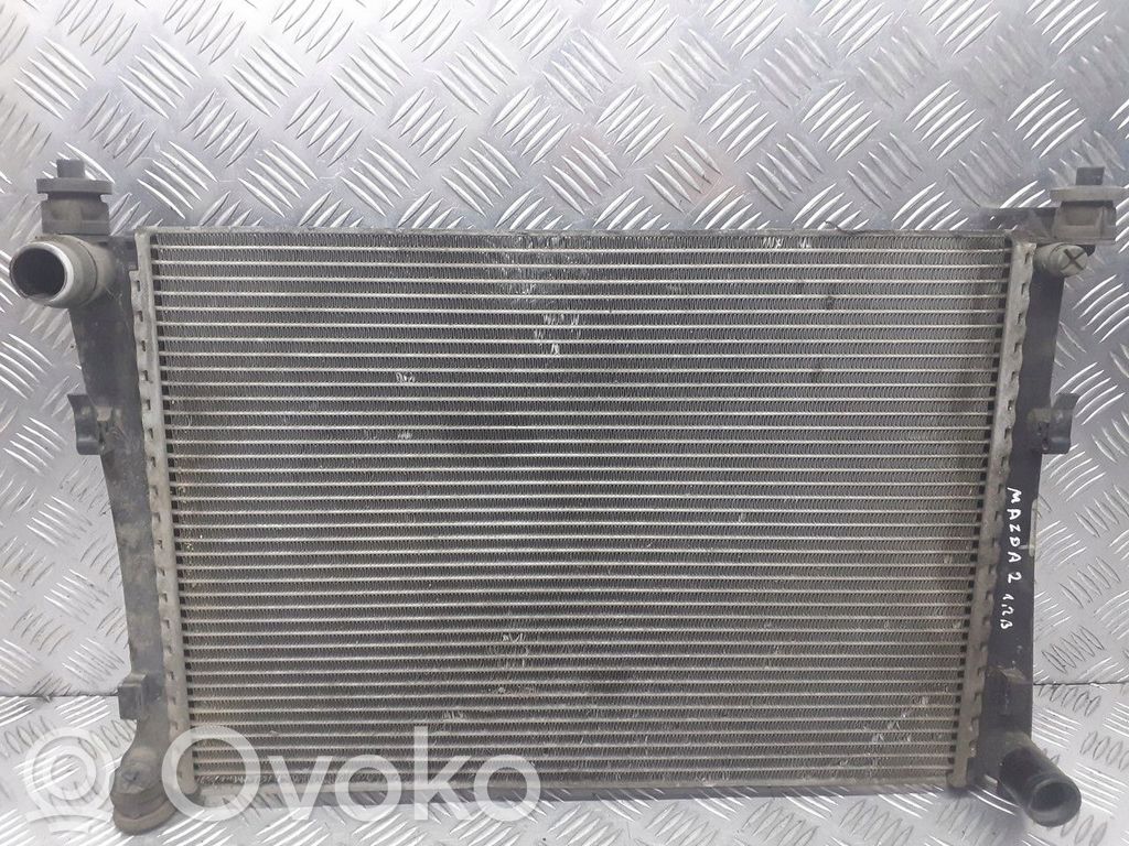 Juego de radiador   2S6H8005CC