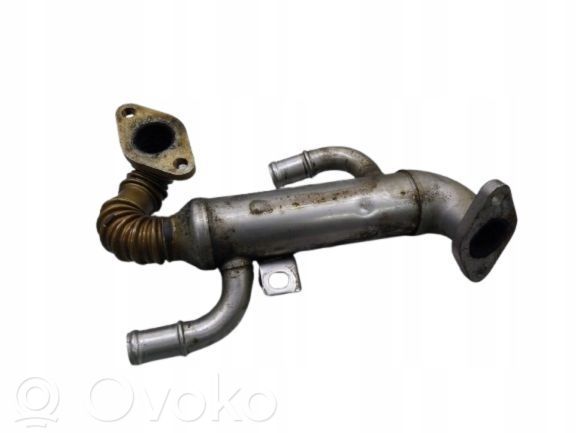 Volkswagen Polo IV 9N3 Valvola di raffreddamento EGR