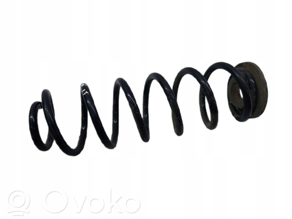 Muelle espiral trasero
