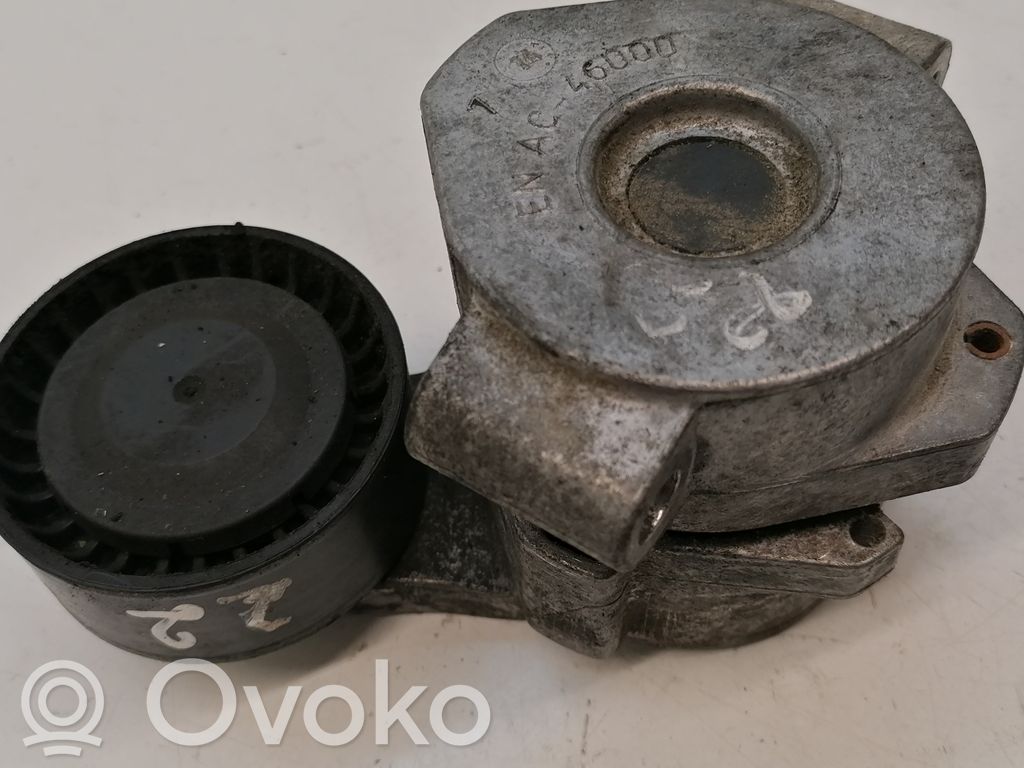 Ford Transit Generatoriaus diržo įtempėjas 