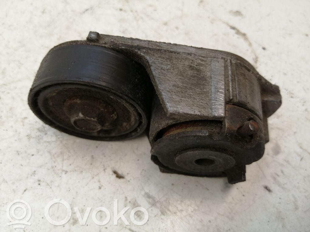 Ford Transit Generatoriaus diržo įtempėjas 