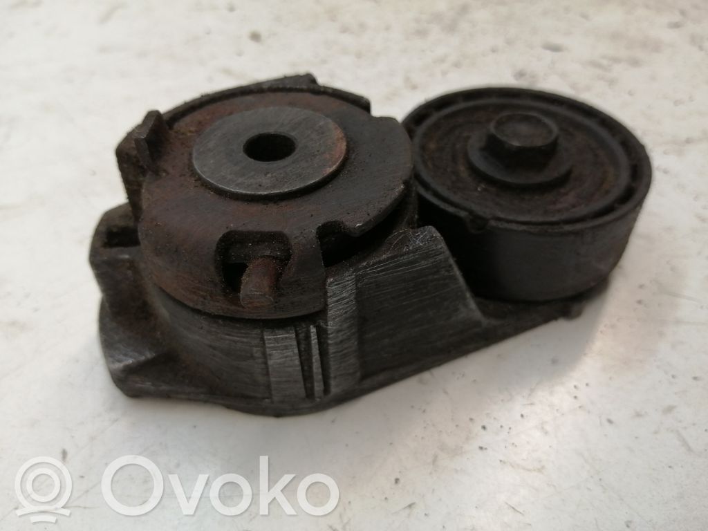 Ford Transit Generatoriaus diržo įtempėjas 