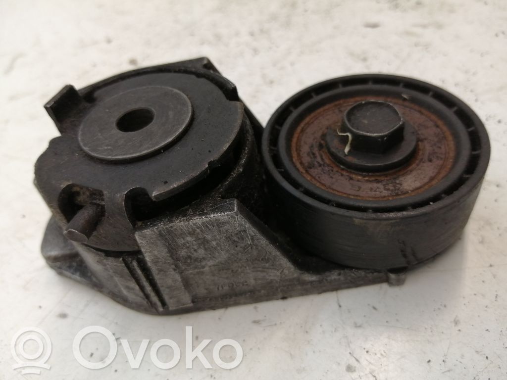 Ford Transit Generatoriaus diržo įtempėjas 