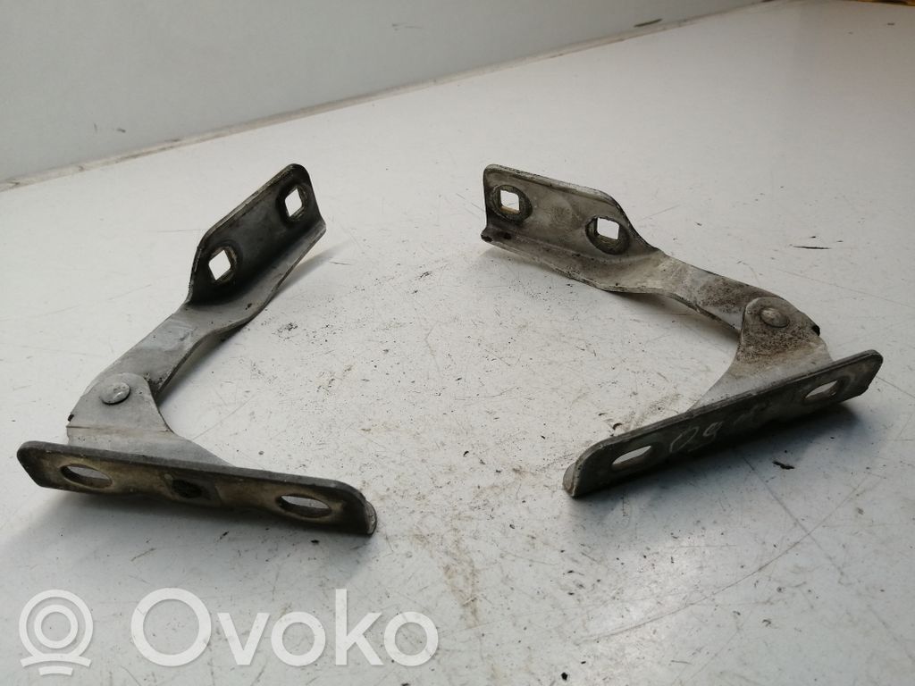 Ford Transit Engine bonnet/hood hinges 