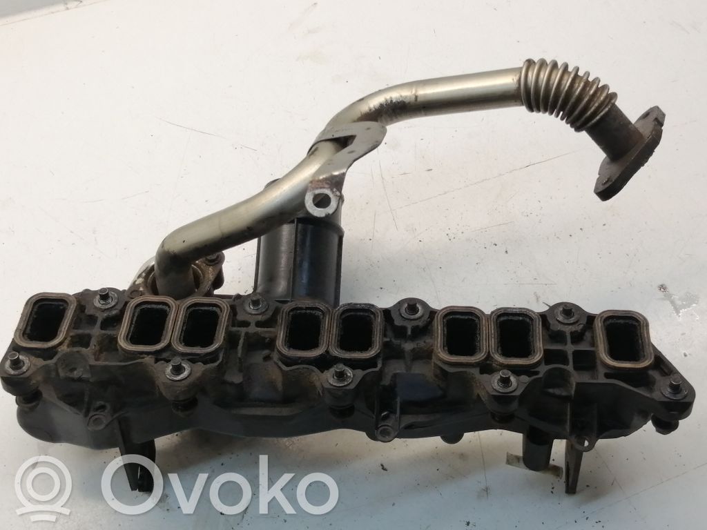 Ford Transit Kolektorius įsiurbimo 