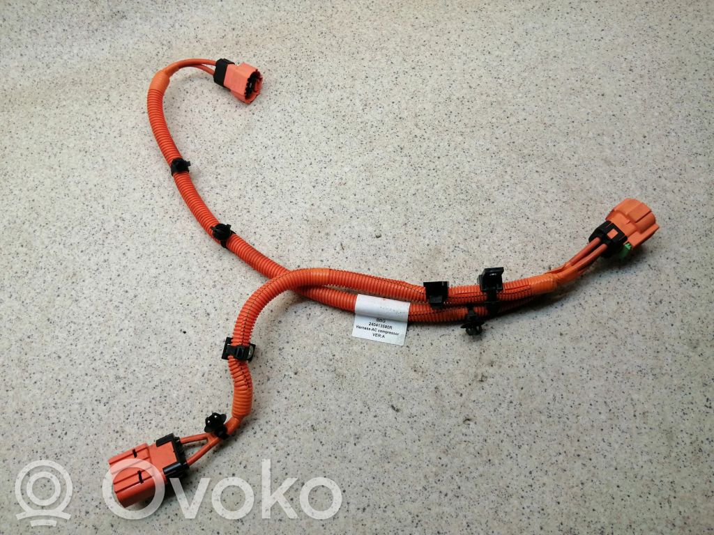 Dacia Spring Other wiring loom 