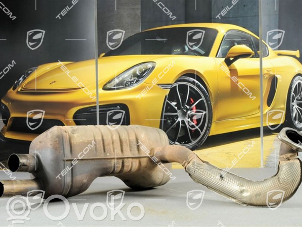 Porsche Boxster 981 Galinė pūslė 