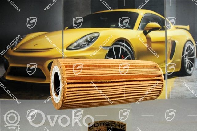 Porsche Panamera (970) Kraftstofffilter 