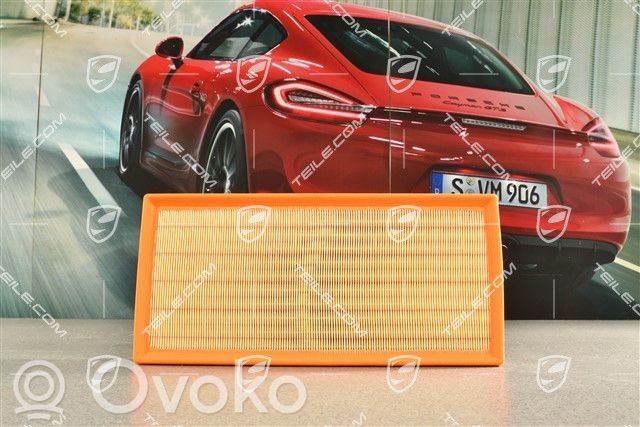 Porsche Cayenne (9PA) Filtr powietrza 