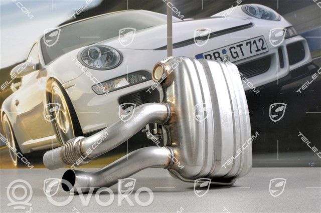 Porsche 911 991 Endtopf Schalldämpfer