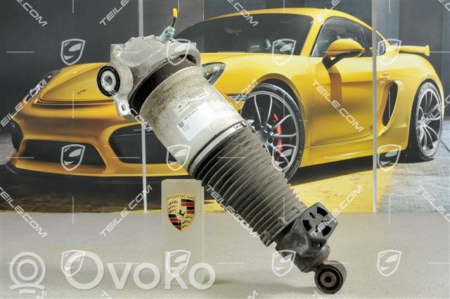 Porsche Cayenne (9PA) Amortizor spate