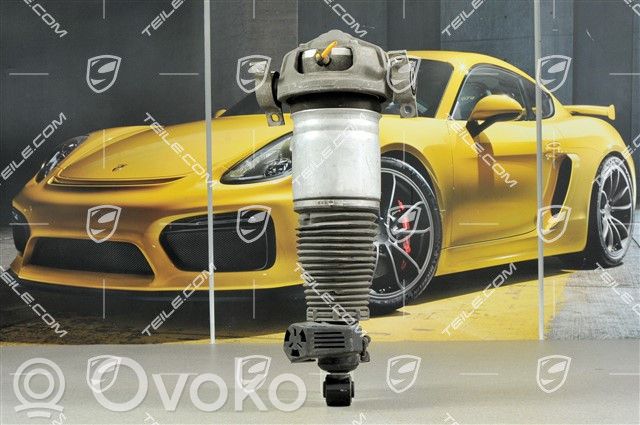 Porsche Cayenne (9PA) Muelle espiral trasero 