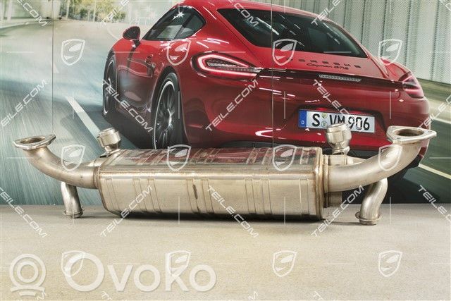 Porsche 911 991 Vidurinė pūslė 