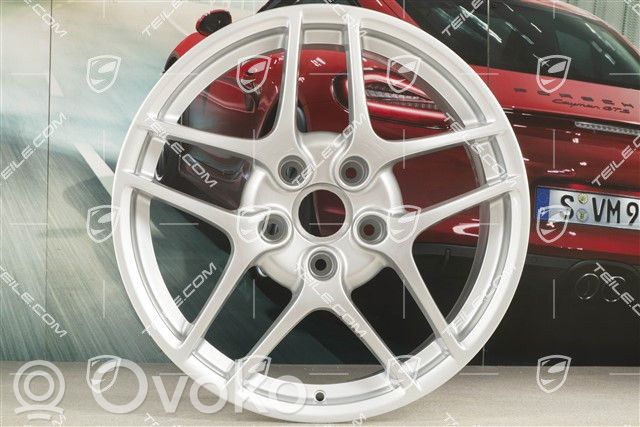 Porsche Boxster 987 Jantă aliaj R19 