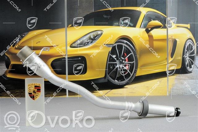 Porsche 911 997 Degalų bakas 