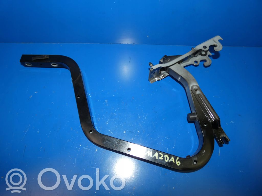 Tailgate/trunk/boot hinge