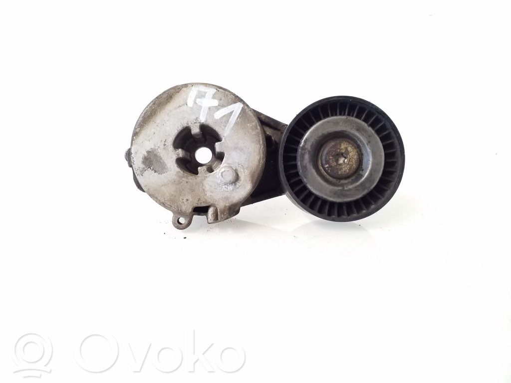 Audi A4 S4 B8 8K Napinacz paska wielorowkowego / Alternatora 