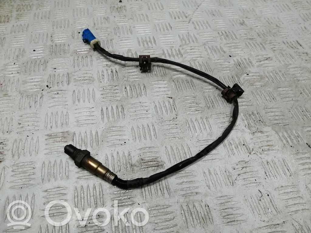 Ford Focus Lambda zondas 