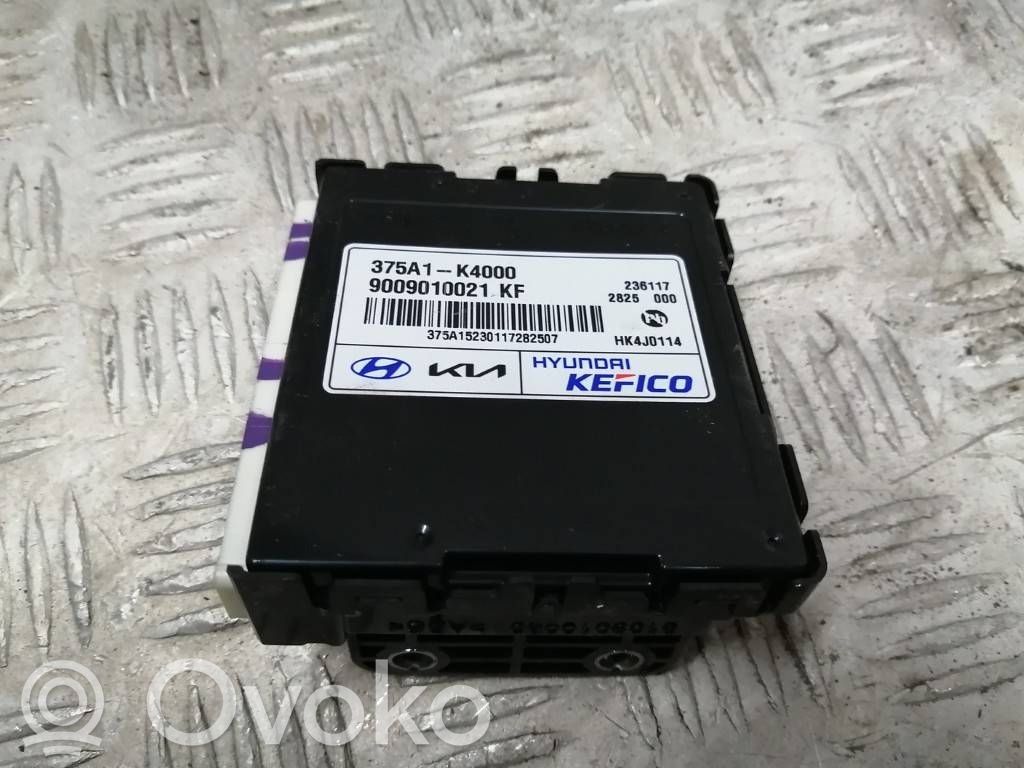 Hyundai Kona I Current control relay 