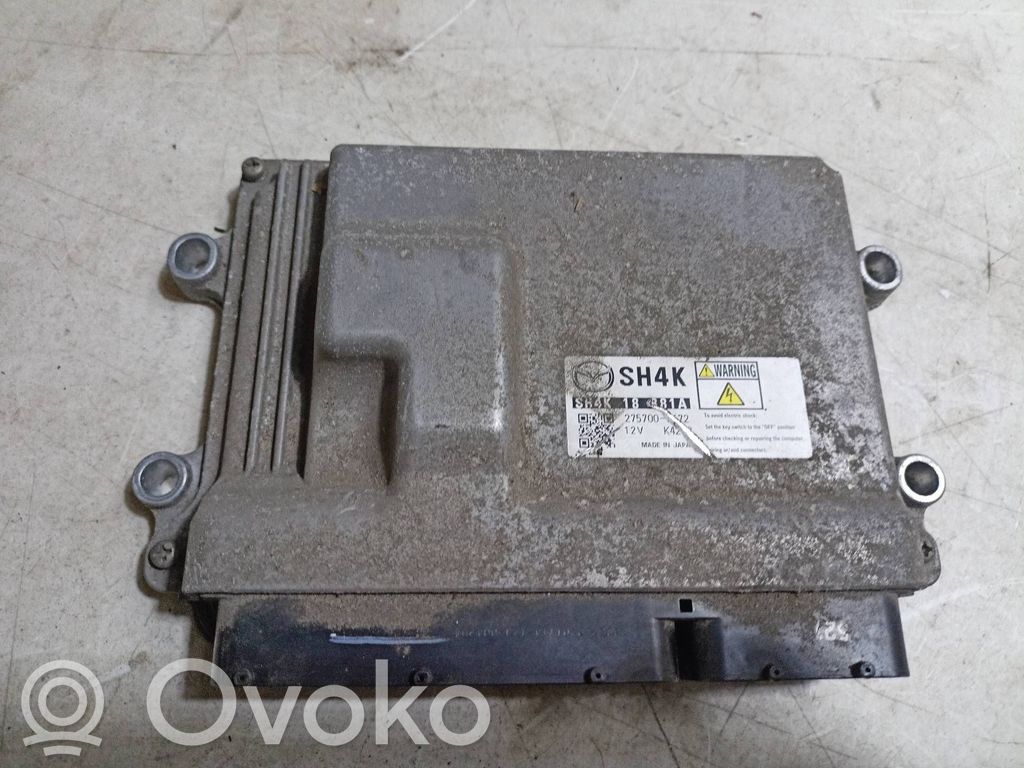 Engine control unit/module ECU