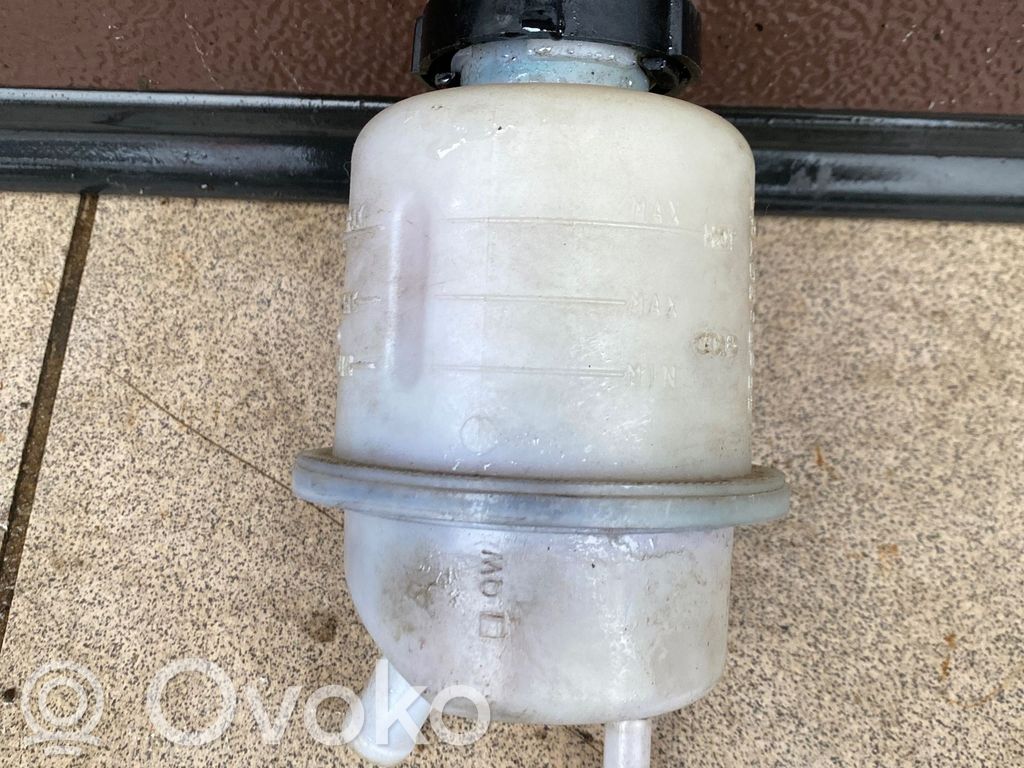 Nissan Pathfinder R51 Serbatoio/vaschetta del liquido del servosterzo 