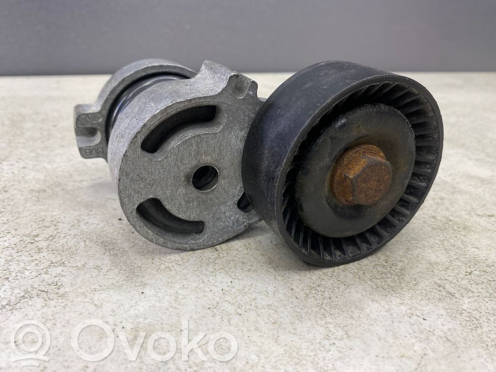 Tensor de la correa del alternador   65352