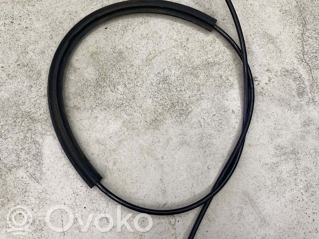 Cable de bloqueo de encendido   109468706