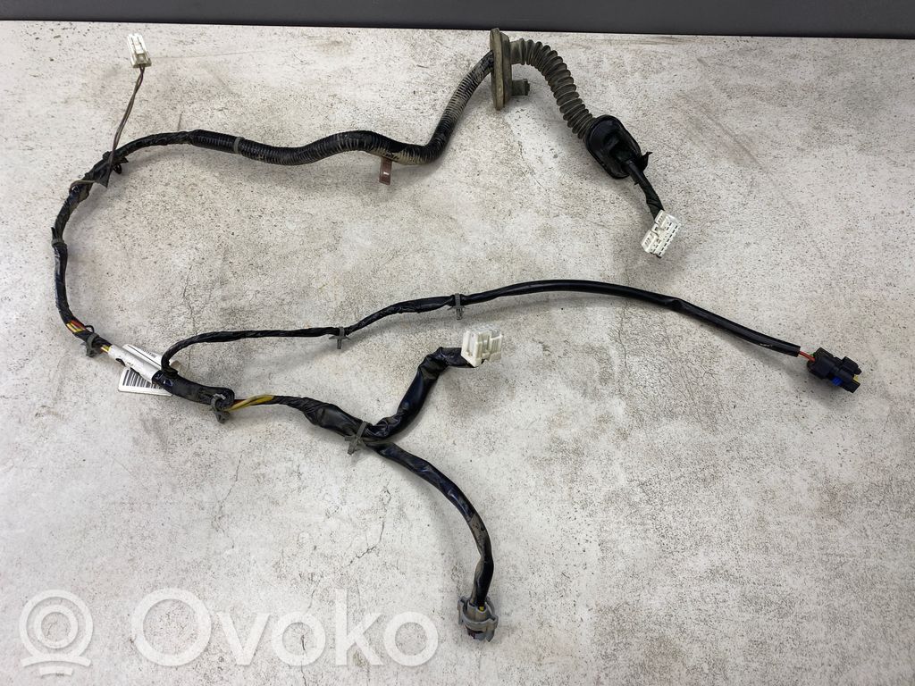 Nissan Pathfinder R51 Cableado de puerta trasera 
