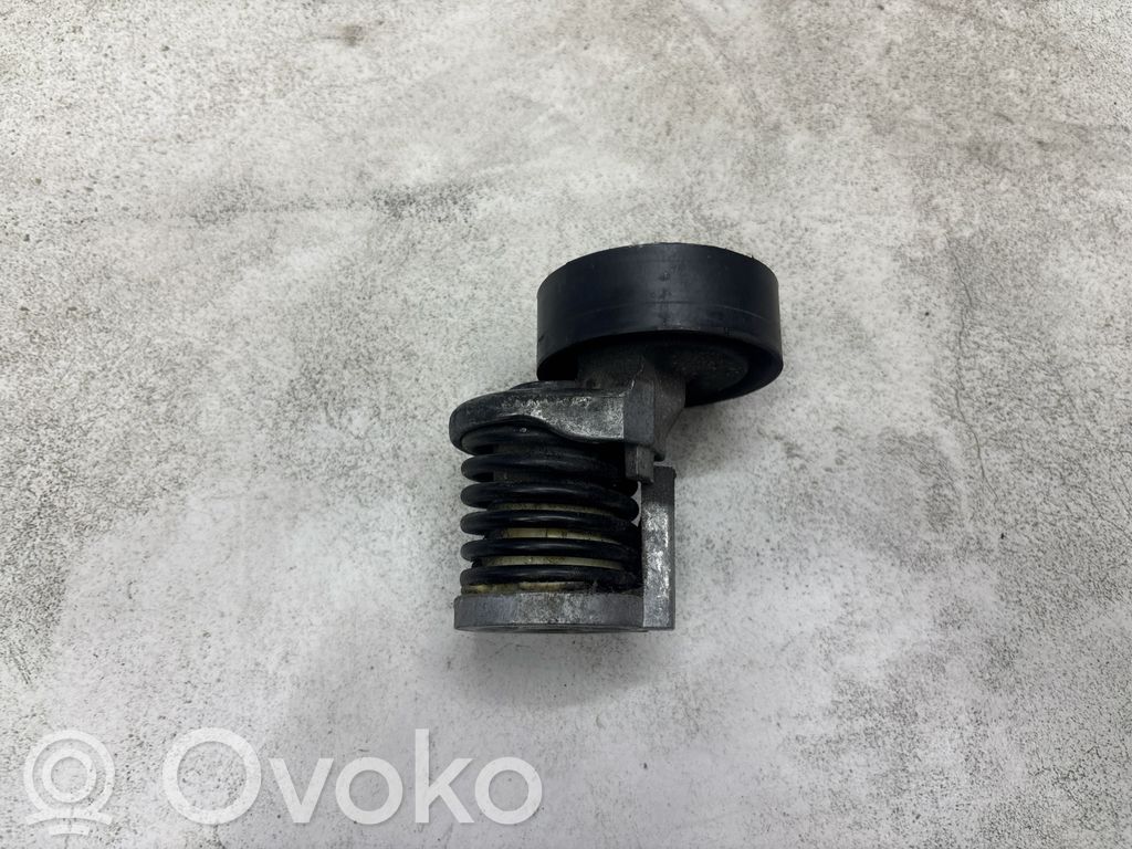 Audi A4 S4 B7 8E 8H Diržo įtempėjas 