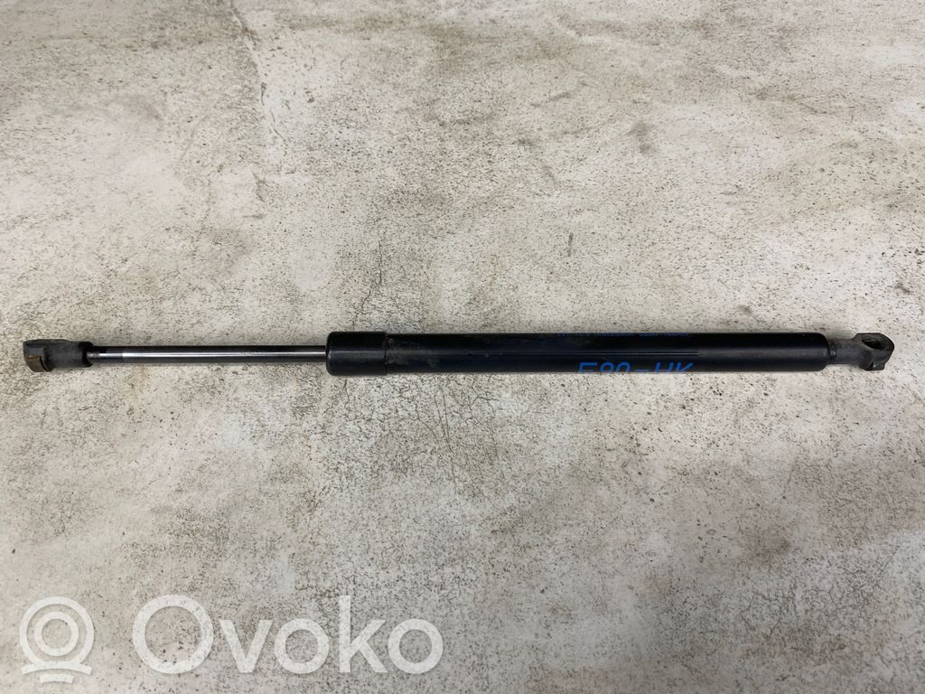 Tailgate/trunk strut/damper   7060623