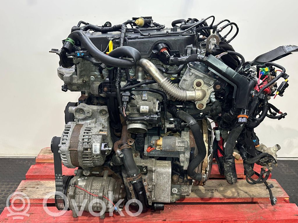 Variklis   M9T704