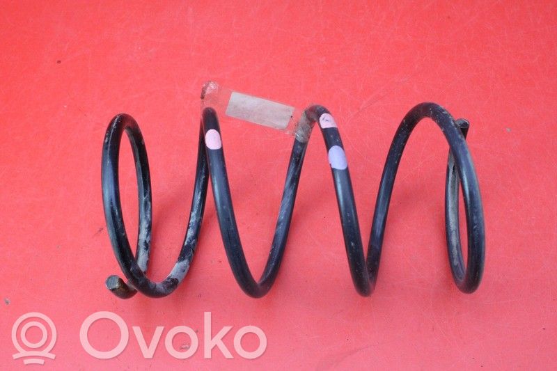 Front coil spring