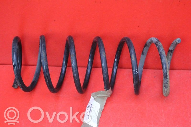 Front coil spring