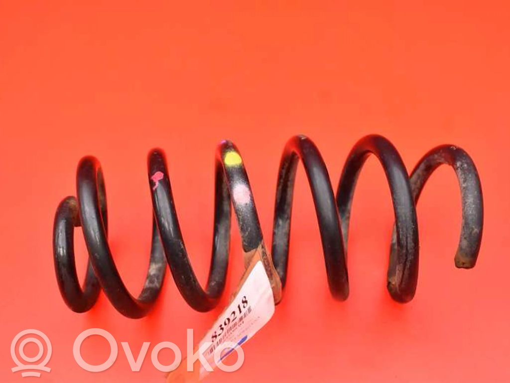 Rear coil spring