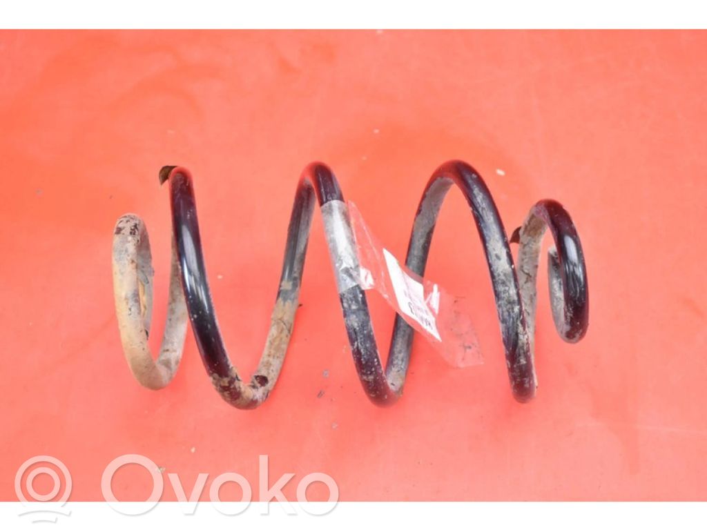 Rear coil spring