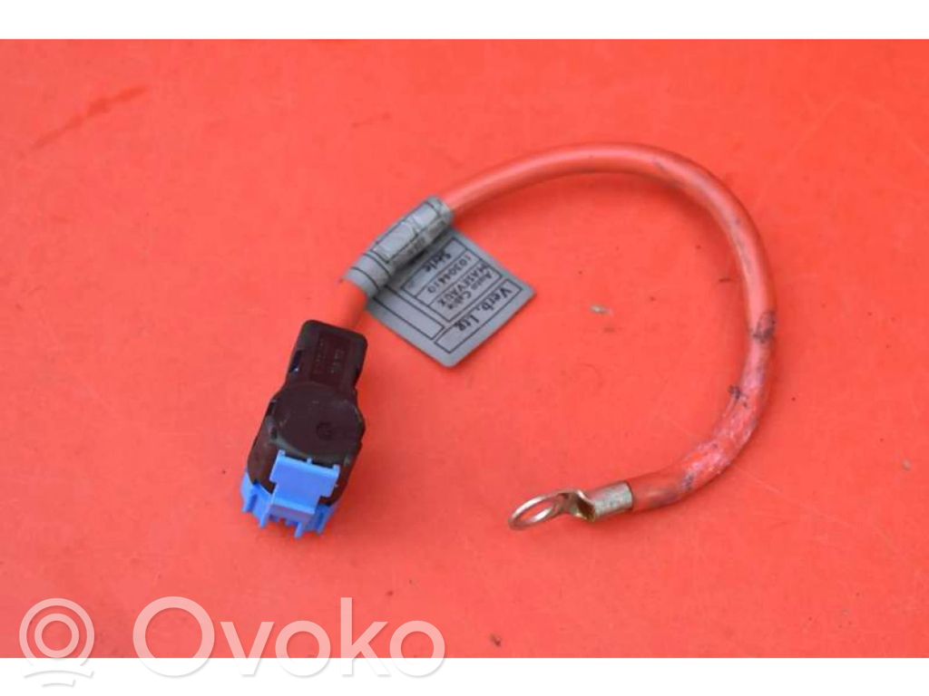 Other wiring loom   6900565,6900565