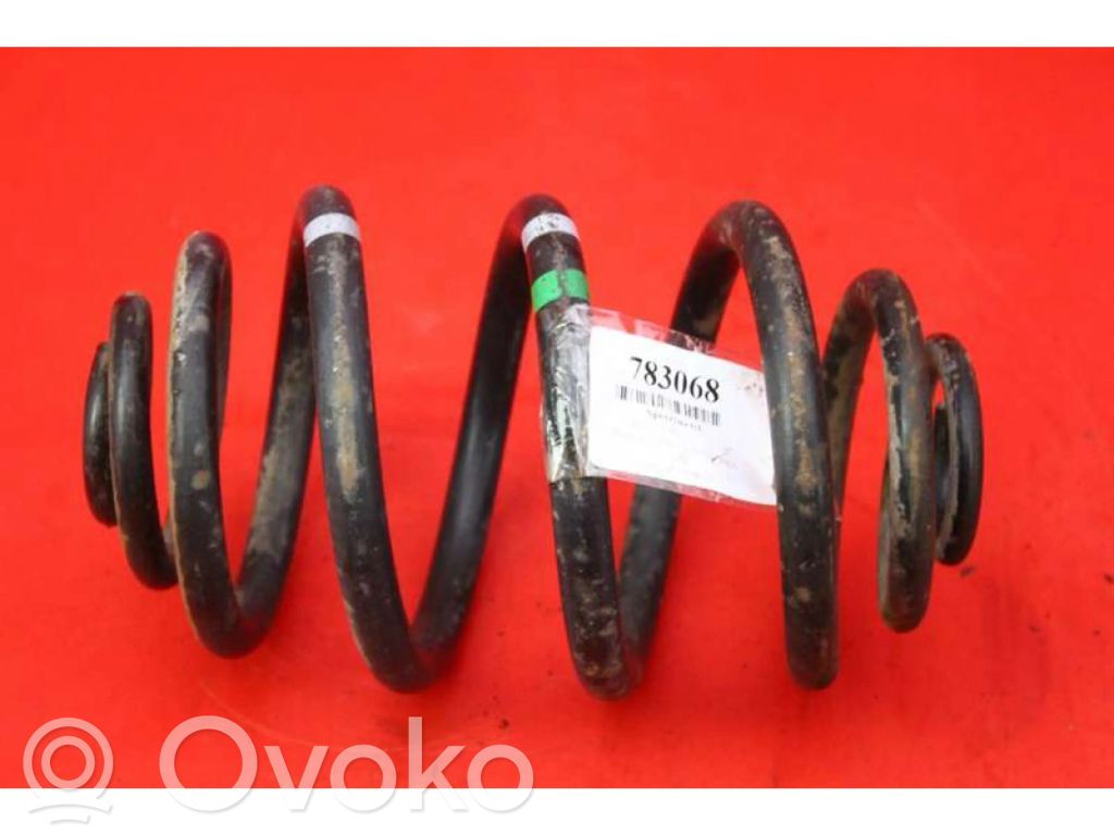 Rear coil spring