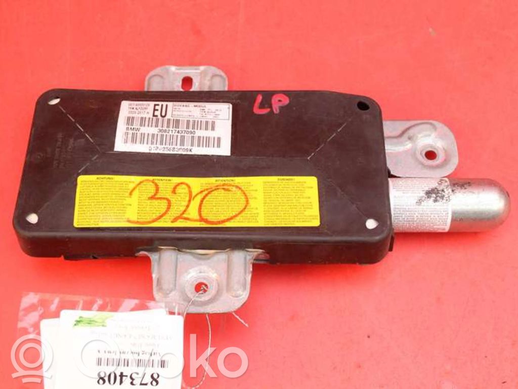 Airbag de siège   308217437090,308217437090