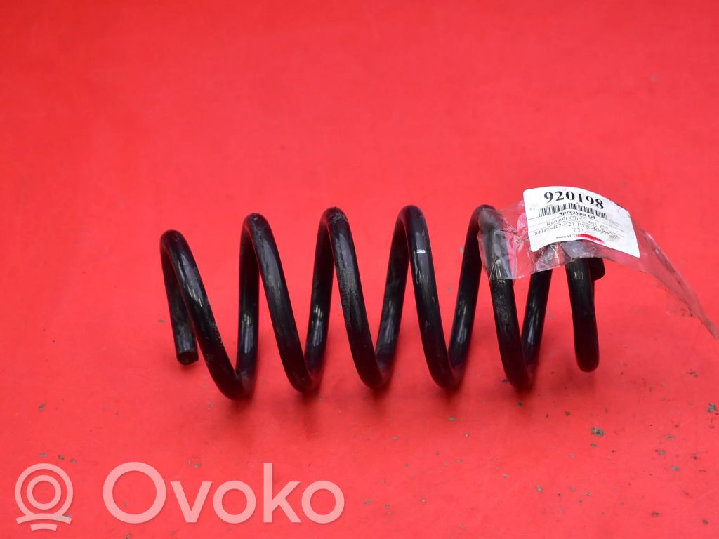 Rear coil spring